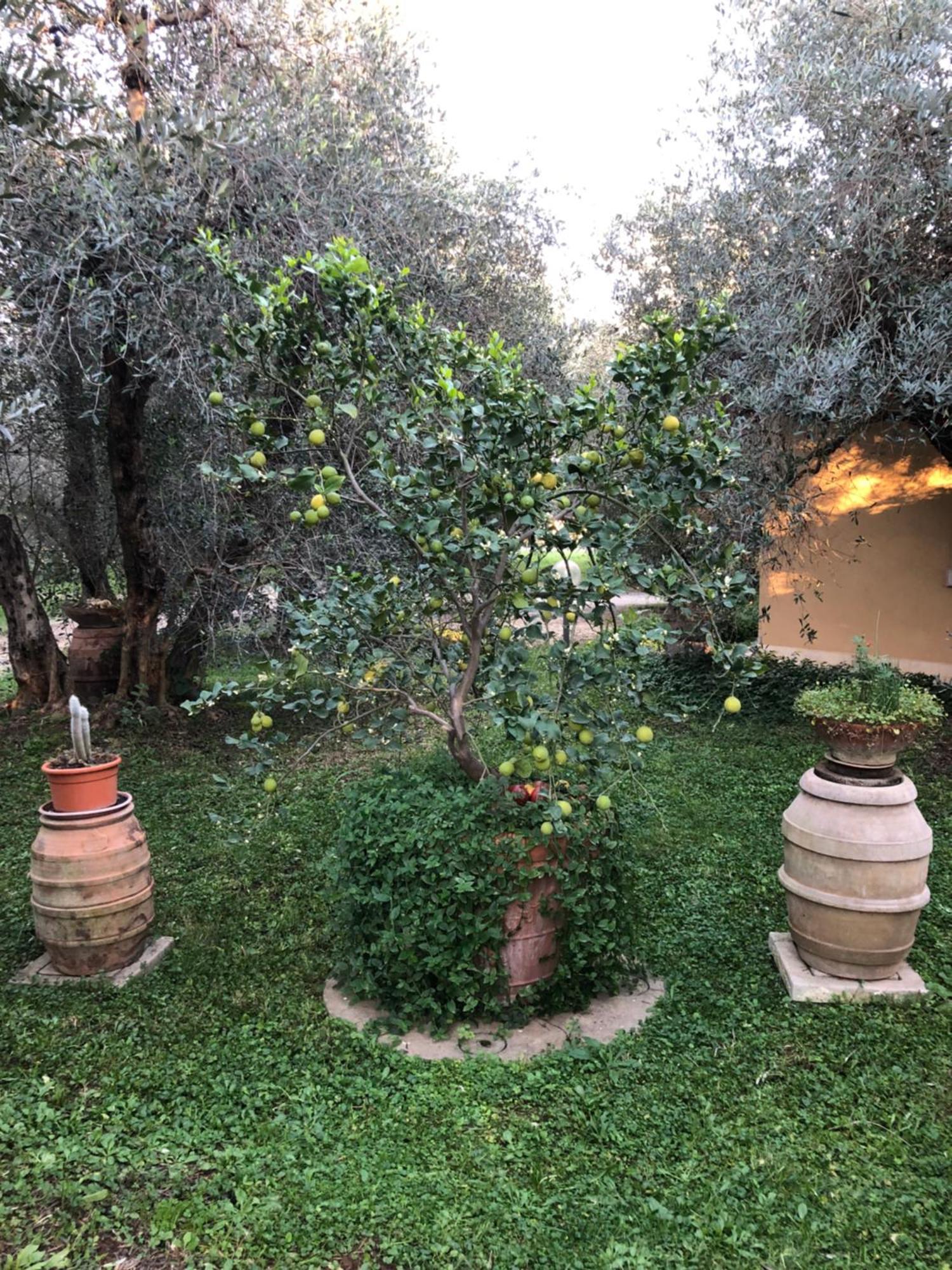 Agriturismo La Canonica Manciano Exterior foto